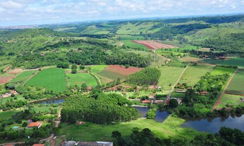 “Limoeiro em Londrina: A Fazenda da Nata, um Tesouro Cítrico”